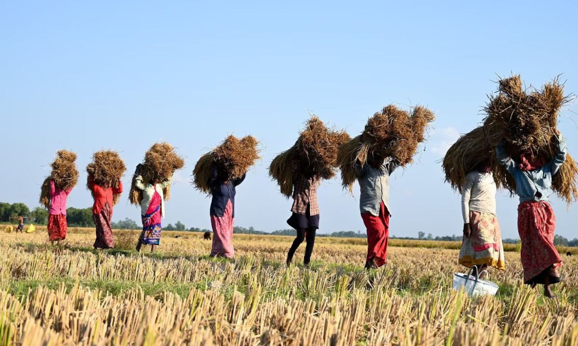 RBI Increased Bank Guarantee Limit: भारतीय रिजर्व बैंक (RBI) ने 1 जनवरी, 2025 से किसानों के लिए लोन से संबंधित नीतियों में कई बड़े बदलाव किए हैं.