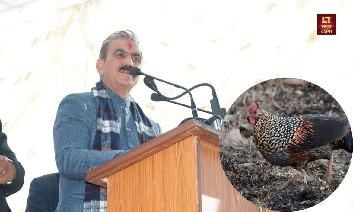 Wild Rooster' Controversy: हिमाचल प्रदेश के मुख्यमंत्री सुखविंदर सिंह सुखू के 'जंगली मुर्गा' खाने वाले बयान को लेकर हंगामा कम नहीं हो रहा है. ऐसे में भारतीय जनता पार्टी के प्रदेश अध्यक्ष ने उनसे माफी की मांग की है.