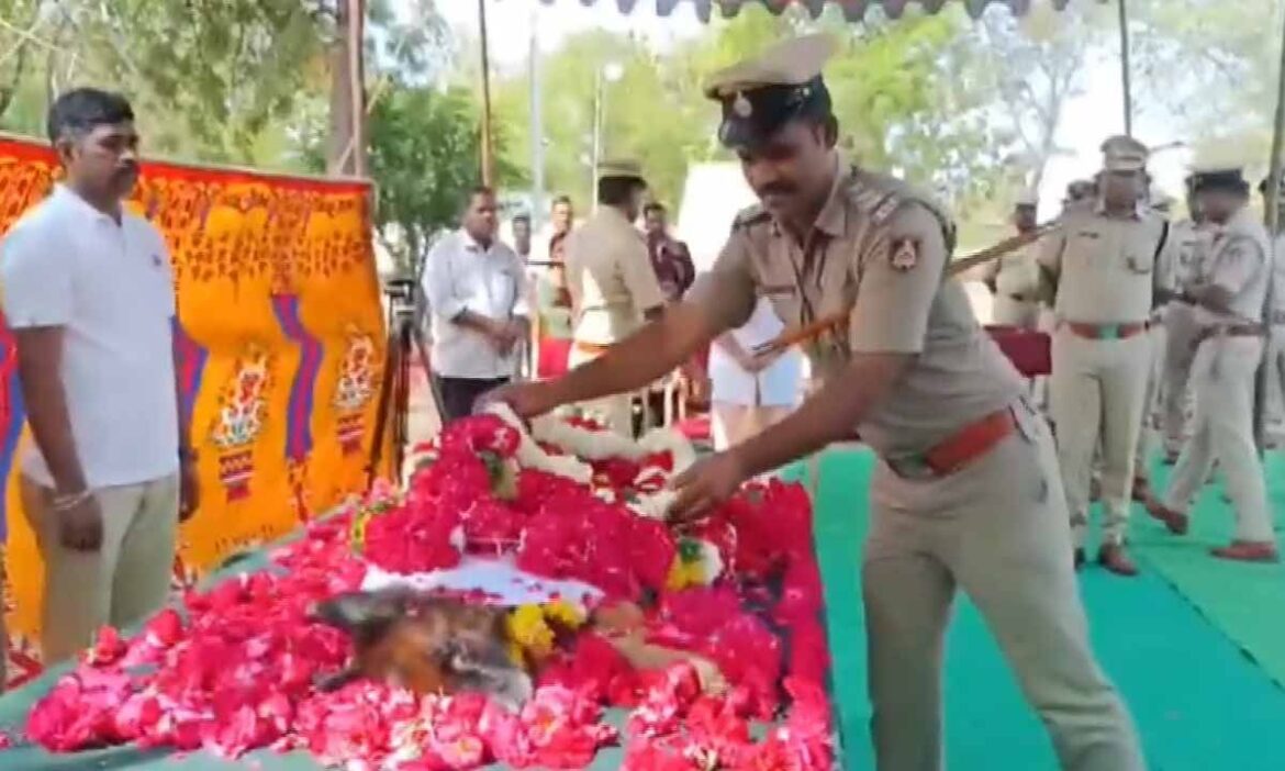 Karnataka News : कर्नाटक की कलबुर्गी जिले की पुलिस ने अपने क्राइम स्क्वॉयड की अहम सदस्य डॉग रीटा को अंतिम विदाई दी. इस बीच वह बेहद भावुक नजर आए.