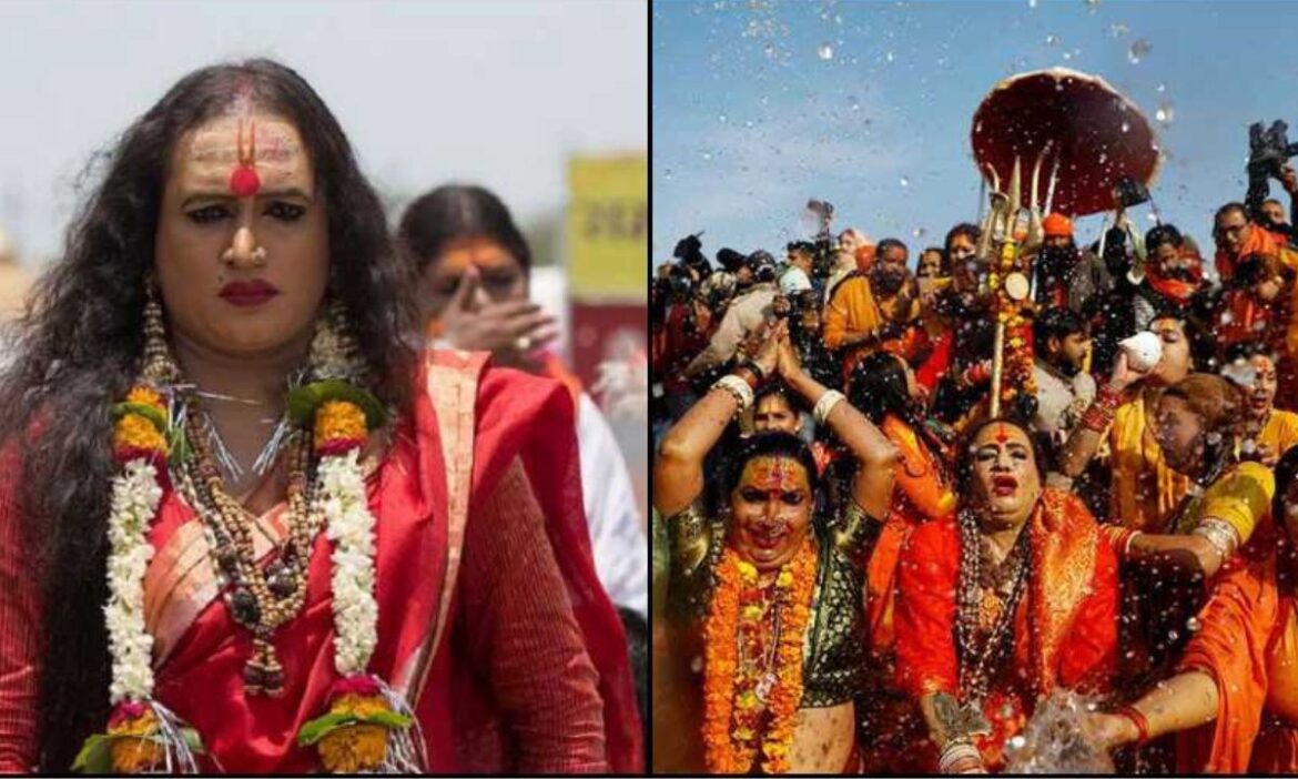 Maha Kumbh 2025 : अगले साल होने वाले महाकुंभ 2025 को लेकर तैयारियां तेज हो गई हैं. इस दौरान अखाड़ों का जिक्र न हो ऐसा हो नहीं सकता.
