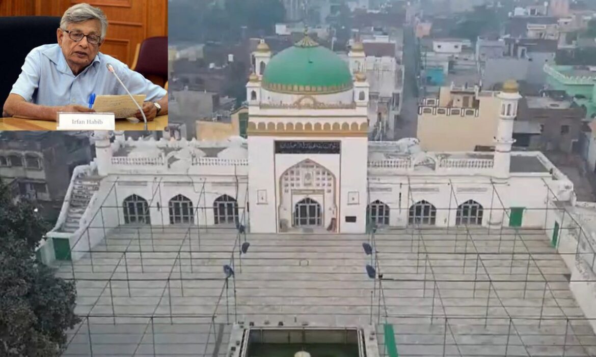 क्या मंदिर को तोड़कर बनाई गई थी संभल की जामा मस्जिद? इतिहासकार ने किया चौंकाने वाला दावा