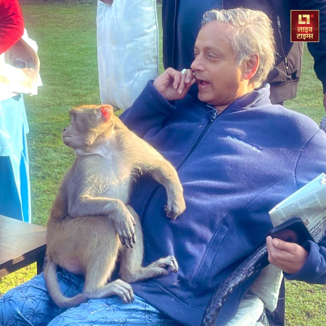 monkey sits lap of Congress MP Shashi Tharoor