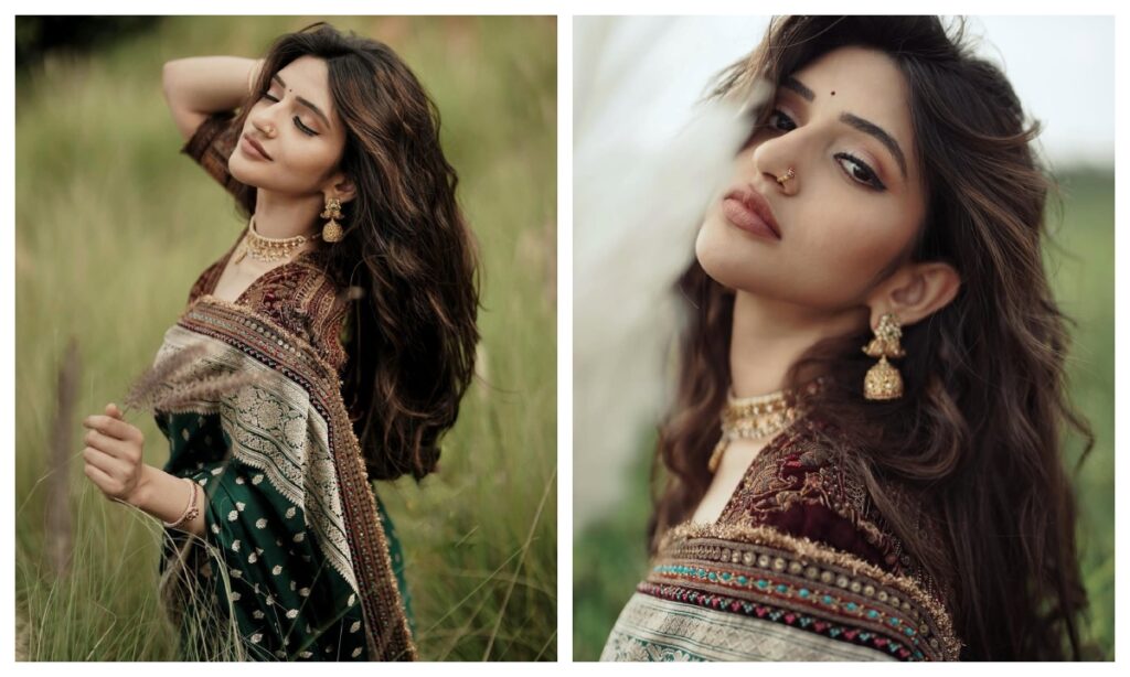 Sreeleela in Chiffon Saree - Live Times