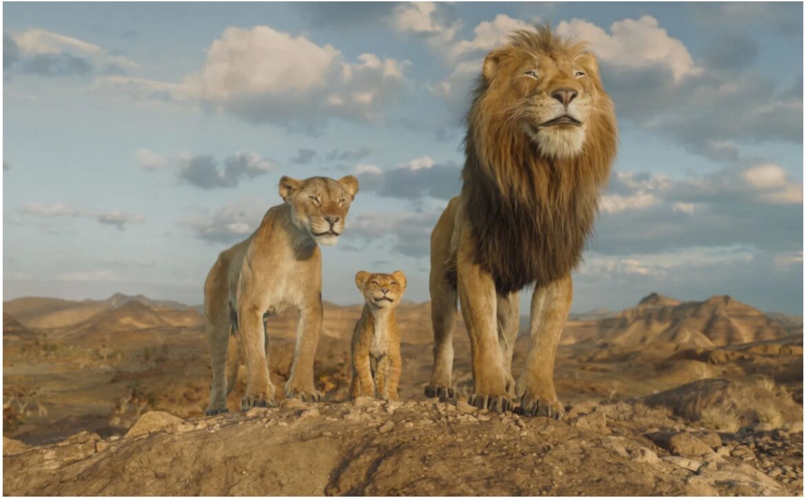 Box Office Collection Report