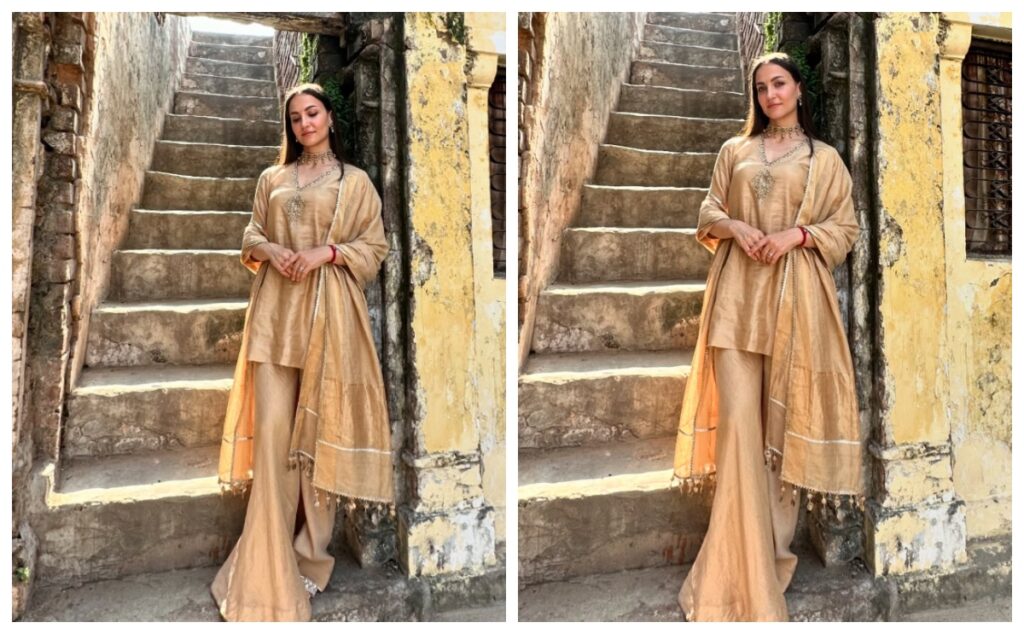 Elli Avrram India Outfits and suit look