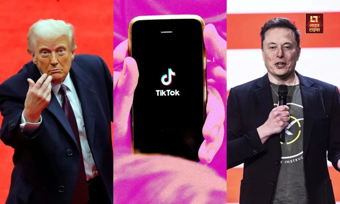 TikTok, TikTok Banned, TikTok, Tesla CEO, Elon Musk, Elon Musk buy TikTok, social media app TikTok, US President, Donald Trump, Elon Musk Plan,