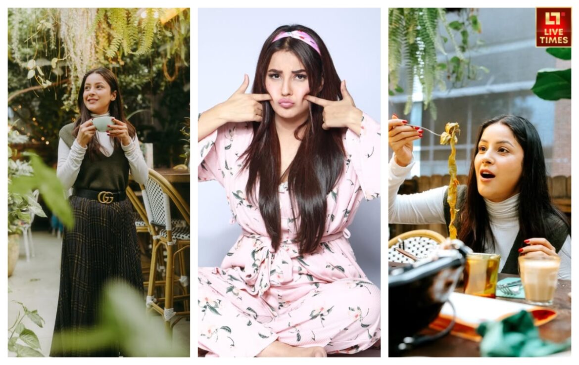 Shehnaaz Gill ने 6 महीने में कैसे कम किया 35 किलो वजन? जानें पंजाब की कैटरीना कैफ का इजी डाइट रूटीन