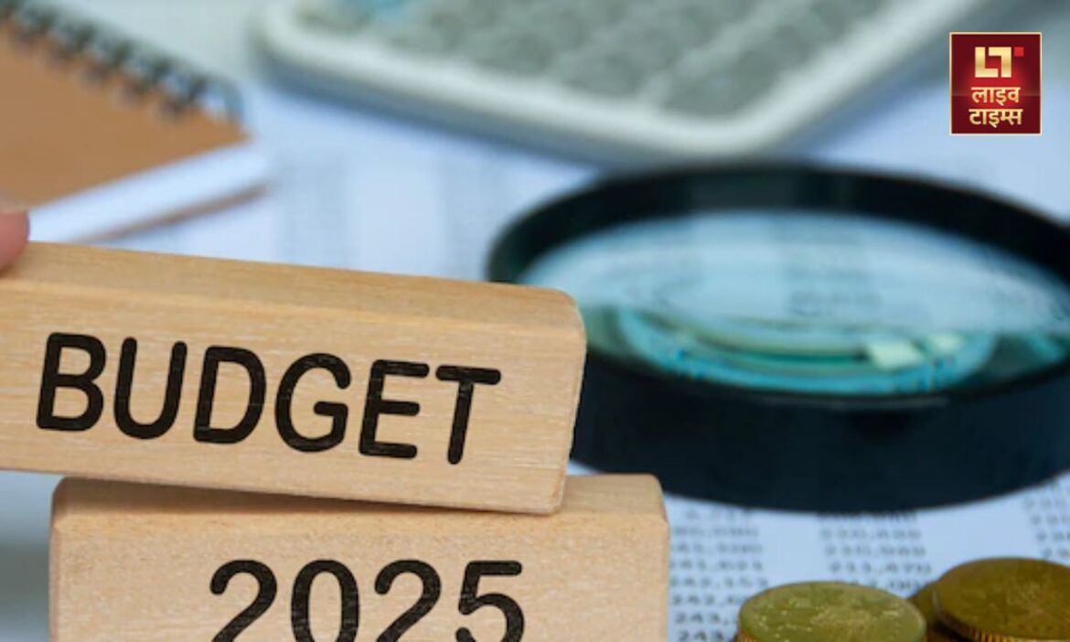 Budget 2025: आज यानी 1 फरवरी को वित्‍तमंत्री निर्मला सीतारमण साल 2025 के लिए बजट पेश करेंगी. इसके लिए उन्होंने करीब 50 लाख करोड़ रुपये का बजट तैयार किया है.