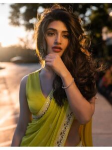 saree blouse designs Sreeleela expensive look saree