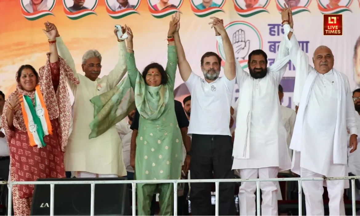 Haryana, Nikay Chunav, Congress, BJP,