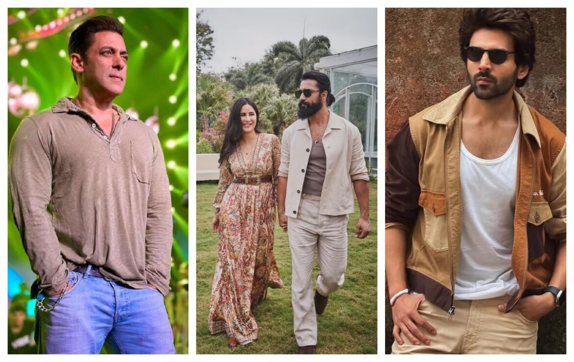 Vicky Kaushal और Salman Khan करेंगे एक ही फिल्म में काम; Kartik Aaryan भी देंगे साथ, डायरेक्टर ने दिया बड़ा हिंट