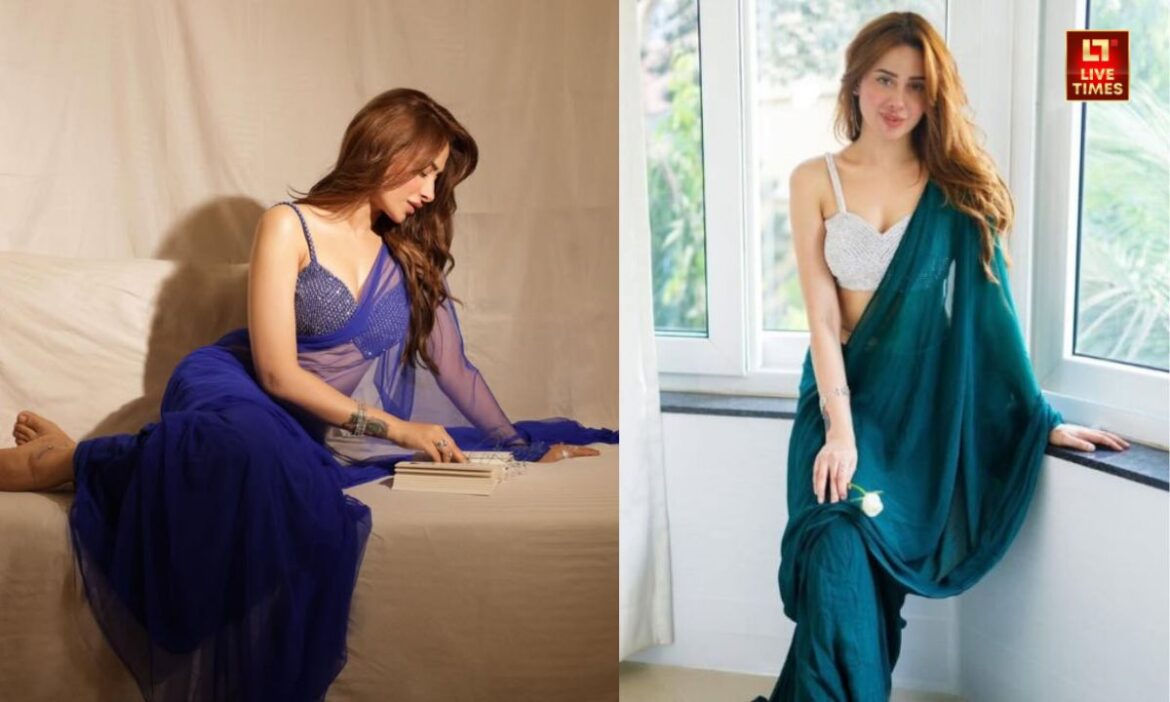 Mahira Sharma Saree Collection: माहिरा शर्मा अपने बोल्डनेस के लिए जानी जाती हैं. उनका हर लुक बेहद शानदार होता है. यही वजह है कि आज हम आपके लिए उन्हीं के लेटेस्ट साड़ी लुक्स लेकर आए हैं.