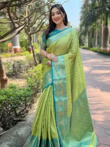 Wear latest trending blouse Silk Saree