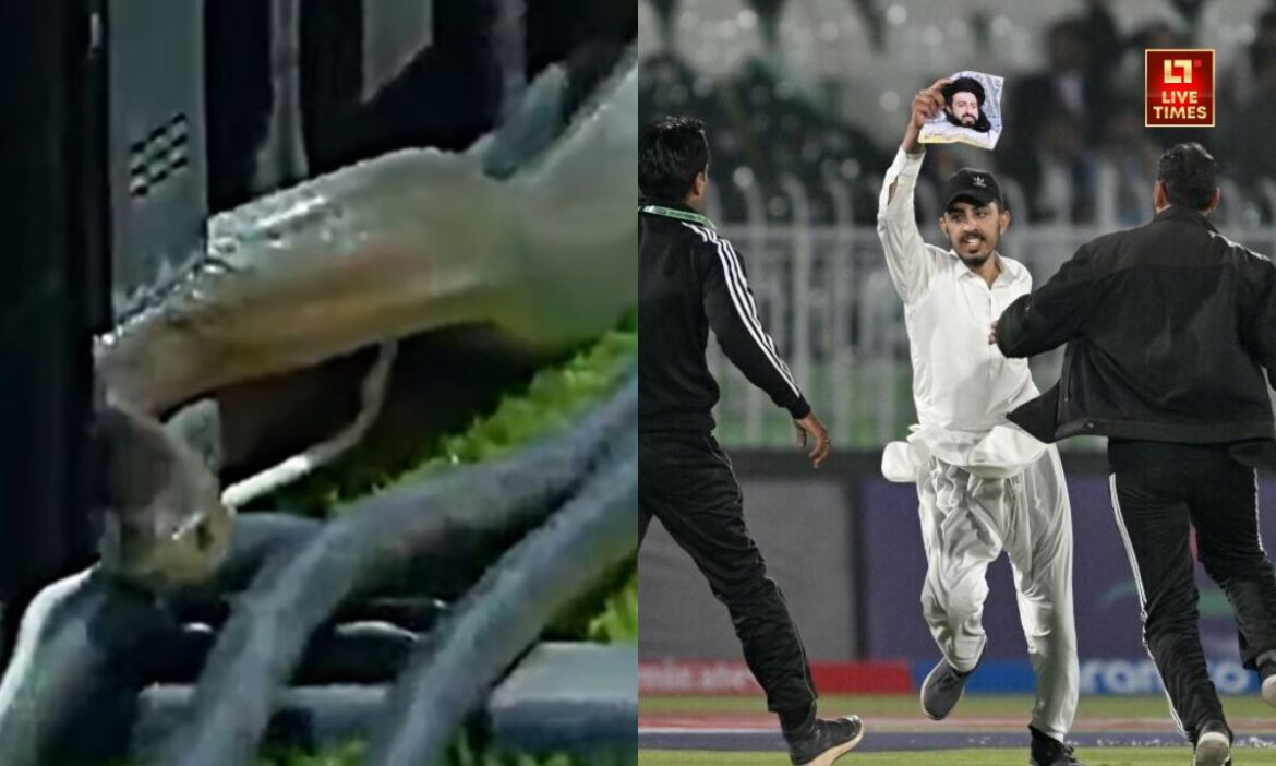 fans created ruckus ICC Champion Trophy