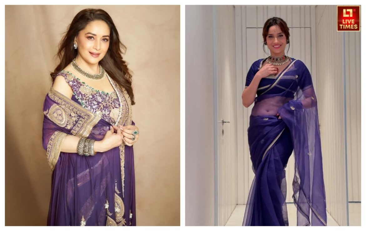 नीली साड़ियों के साथ पहने ऐसे एलिगेंट ब्लाउज, वेडिंग फंक्शन में दिखेंगी एक नंबर