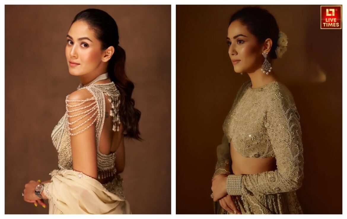 साड़ियों से लेकर रॉयल लहंगों तक, नई दुल्हन के लिए परफेक्ट हैं मीरा कपूर का एथनिक कलेक्शन