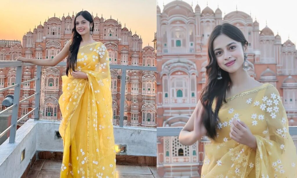 Nitanshi Goel in net work saree