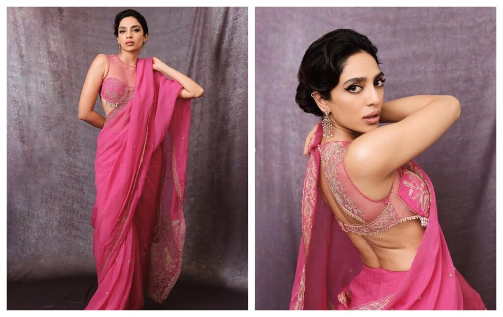 Georgette Organza Saree with choli style blouse