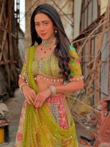 hiba nawab ethnic look