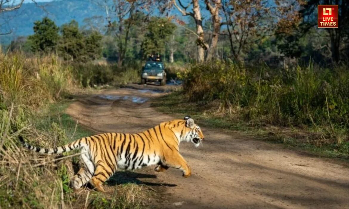 Top 5 National Parks: भारत के ये नेशनल पार्क केवल पर्यटन स्थल नहीं, बल्कि हमारी धरती की जैव विविधता, संस्कृति और प्रकृति की विविध छवियों का प्रतिबिंब हैं. हर पार्क की अपनी एक अलग कहानी, एक अलग जीवनशैली और एक अलग रोमांच है.
