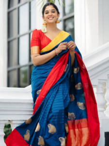 Nyla Usha Blouses for Designer Sarees