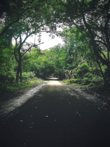 इस गर्मी नेचर से जुड़ने के लिए घूमें ये 5 नेशनल पार्क