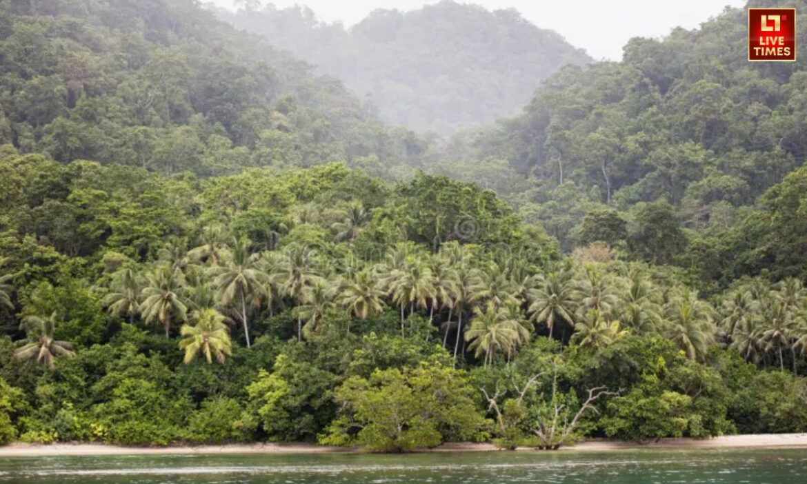 Travel Update: अगर आप उन लोगों मे से एक हैं जिन्हे घूमने का बहुत शौक है तो ये खबर आपके लिए है. ये सभी जंगल प्रकृति की अद्भुत विरासत हैं, जो हर घूमने के शौकीन को एक बार जरूर देखनी चाहिए.