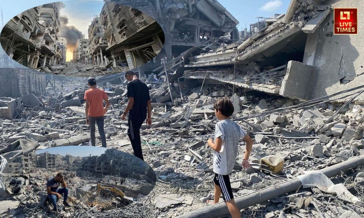 Gaza health 55000 Palestinians killed Israel Hamas war