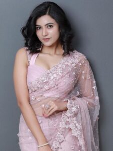 Saree Designs for Night Events