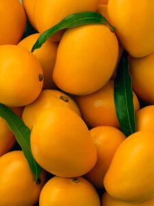 This summer, you must eat these tasty dishes made from mango