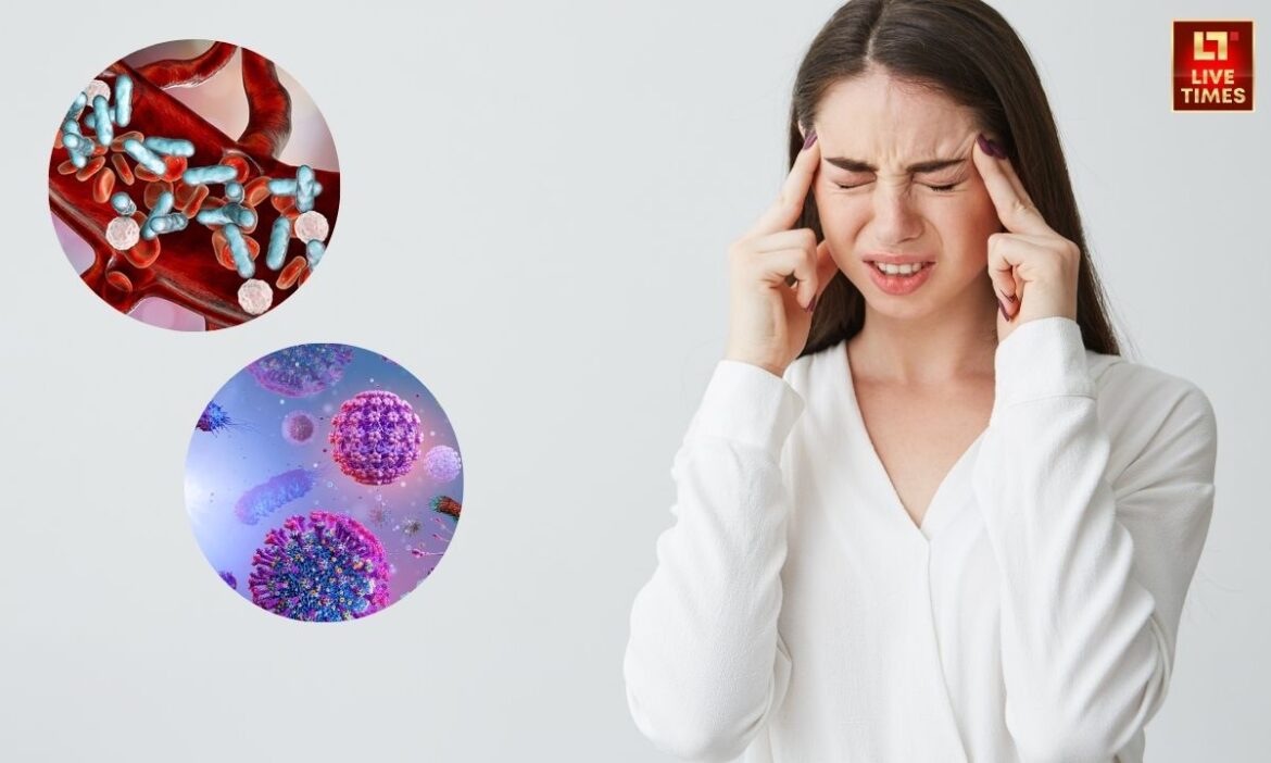 Headache Problem: सुबह उठते ही सिरदर्द को सामान्य मानकर नजरअंदाज करना भविष्य में बड़ी स्वास्थ्य समस्या का कारण बन सकता है. यदि यह बार-बार हो रहा है, तो सावधानी बरतना जरूरी है.