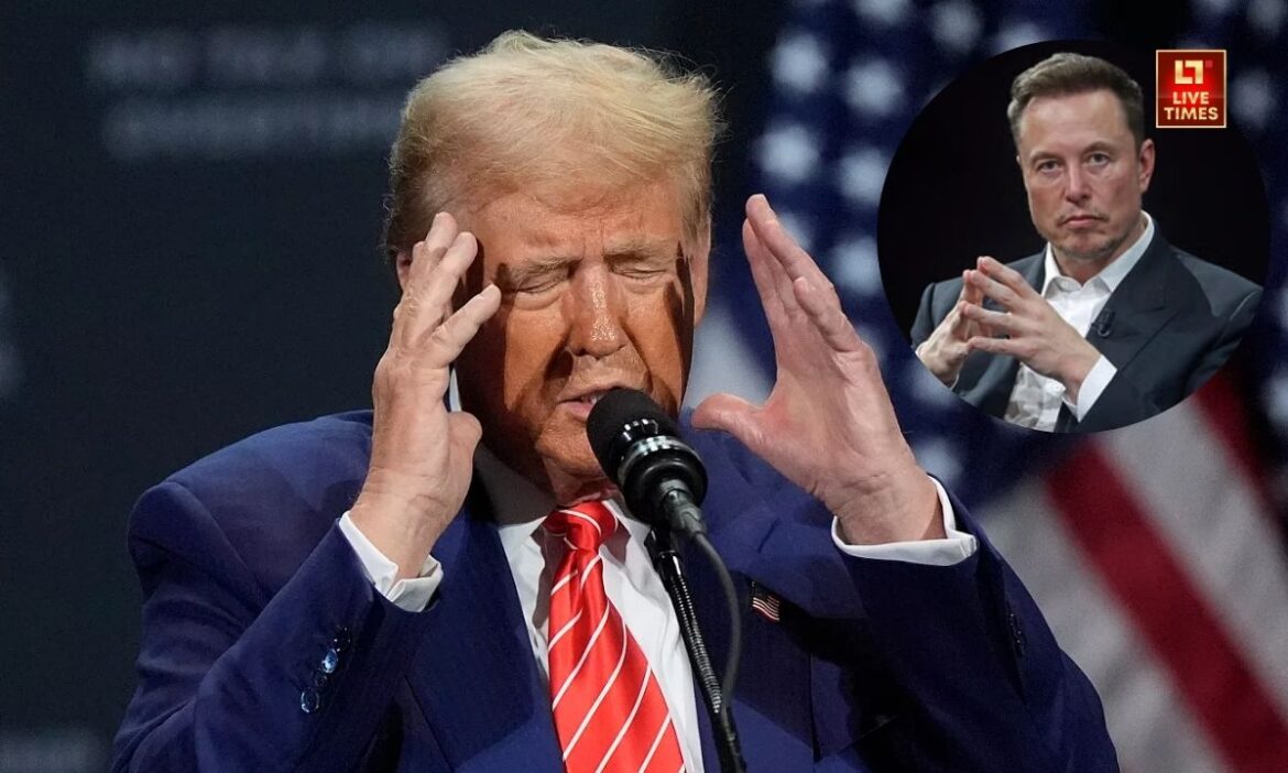 trump musk fight
