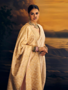 Genelia Deshmukh Looks