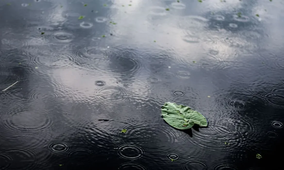 Delhi Rains Today Update