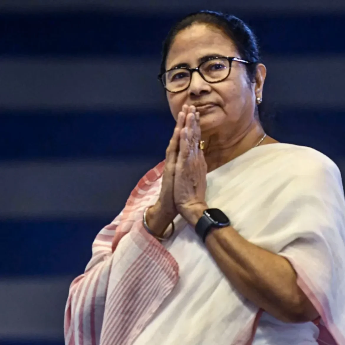 Mamata Banerjee On Durga Puja