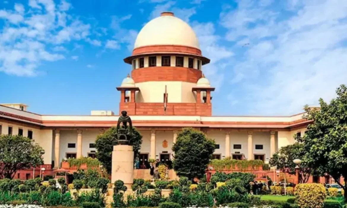 SC Decision On Street Dogs