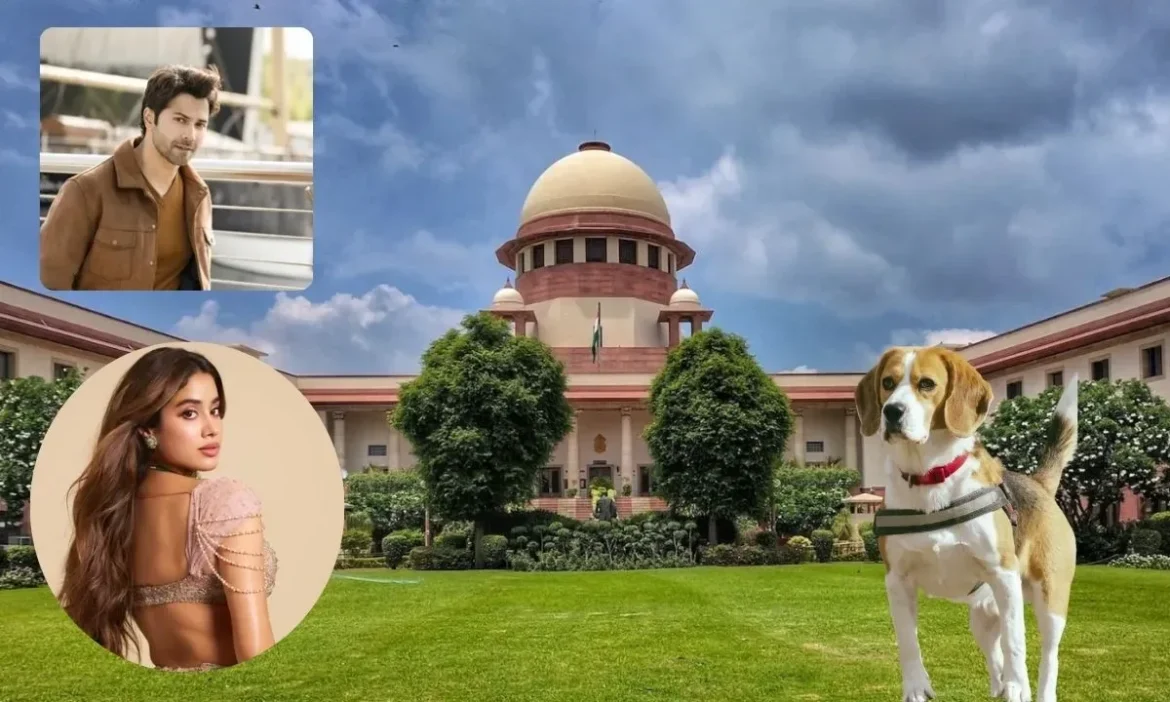 Supreme Court On Street Dogs