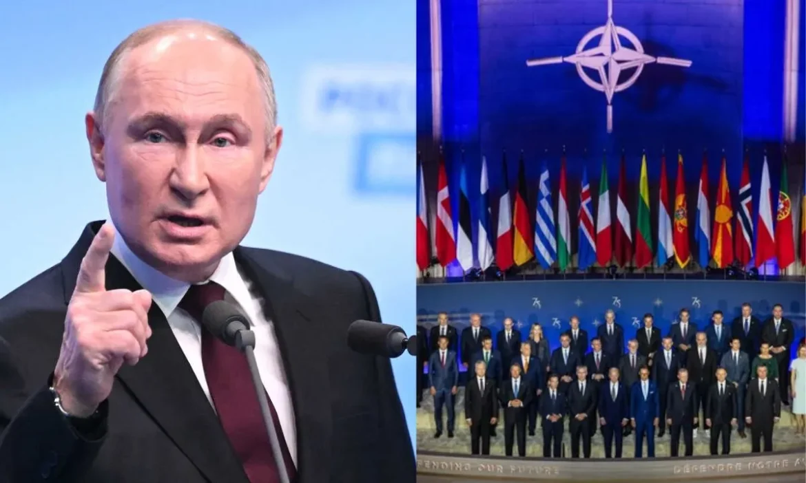 NATO coordinate regulation large-scale arm deliveries Ukraine