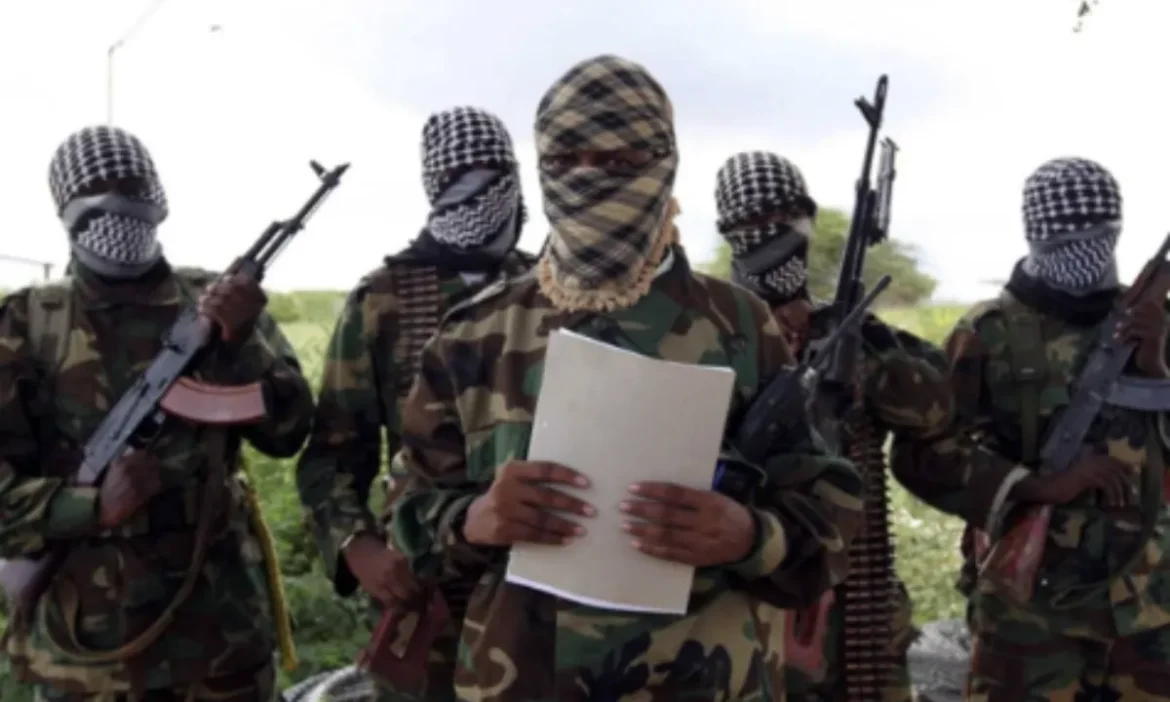 Boko Haram terrorists