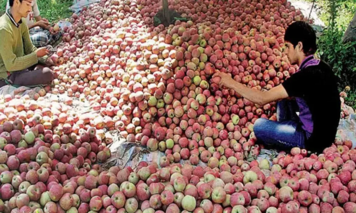 Monsoon havoc in Himachal