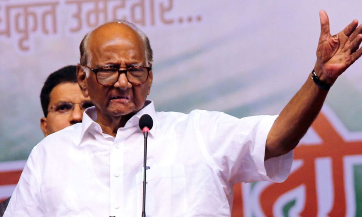 NCP (SP) SEC immediately follow SC order holding elections local bodies