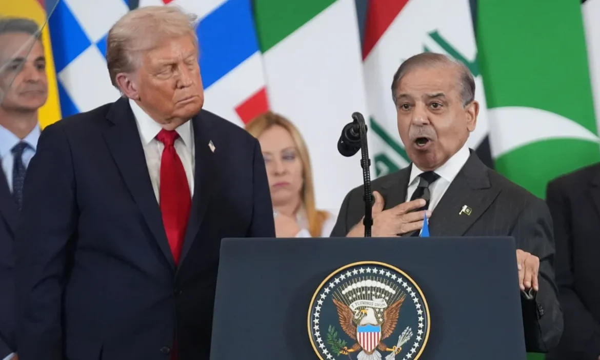 Donald Trump On India