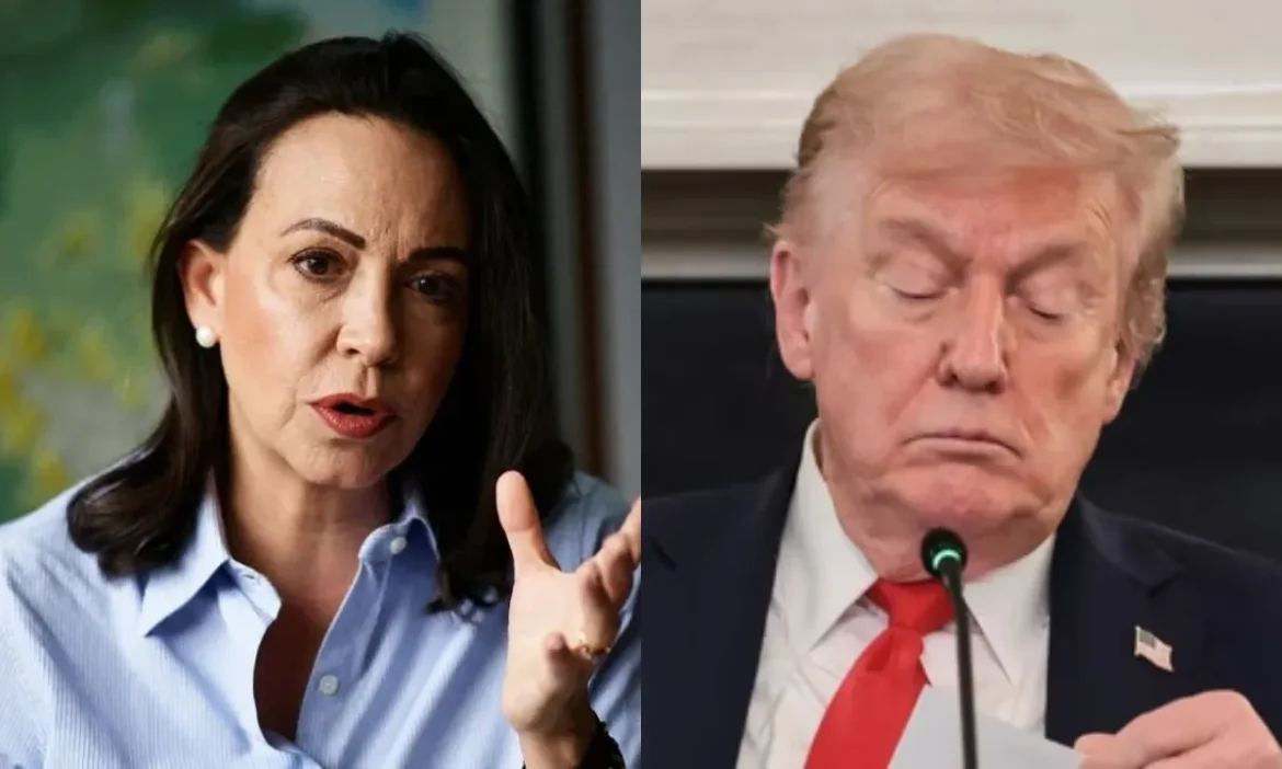 Nobel Peace Prize 2025 Winner