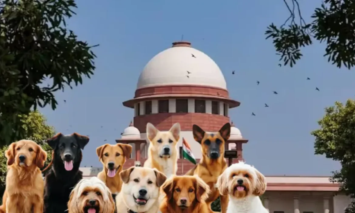 SC Orders On Stray Dogs