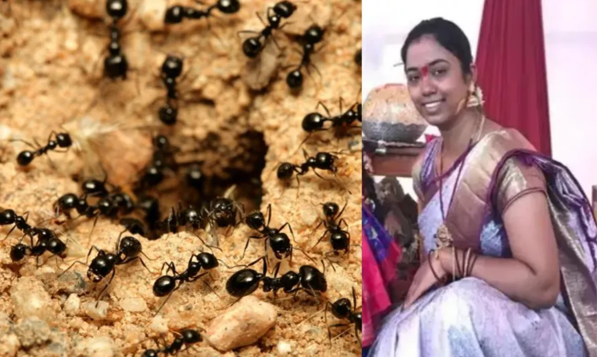 Woman Commited suicide due to Ant Fear