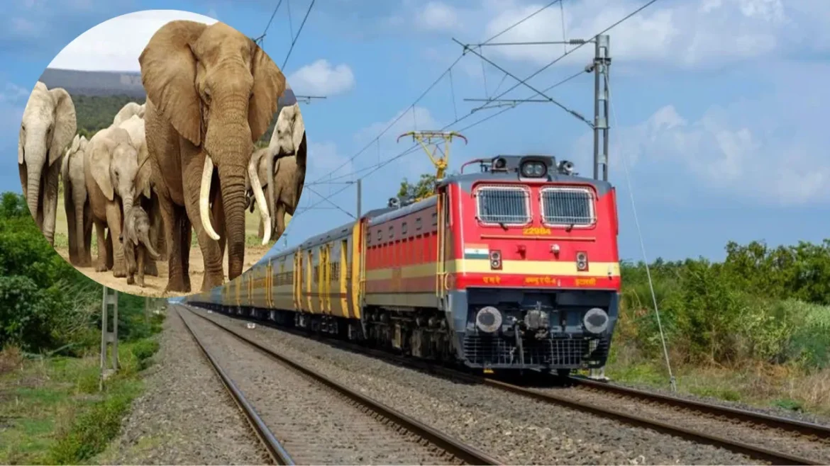 Assam Train Accident