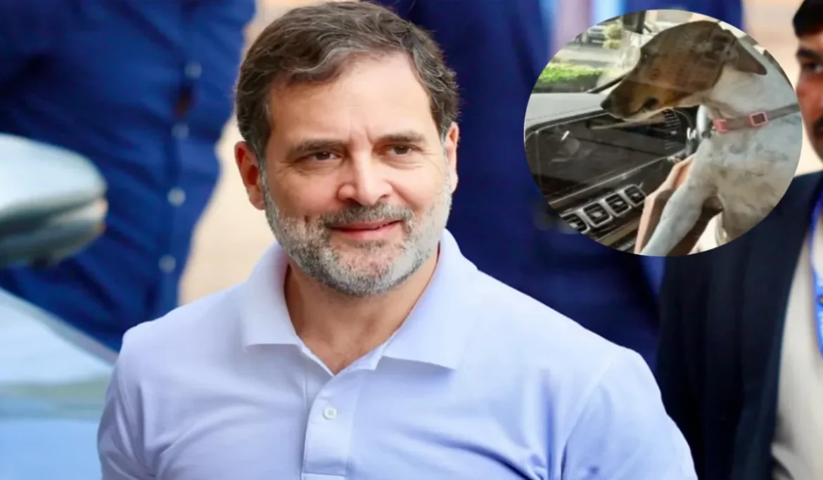 Parliament Dog Controversy