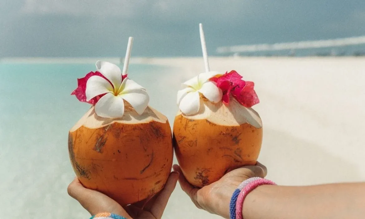 कहां है भारत Coconut Island? कैसे पहुंचें और अपनी छुट्टियों को कैसे बनाएं यादगार, जानें पूरी डिटेल