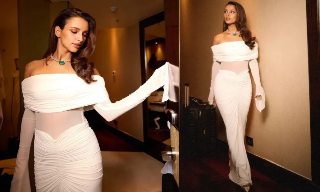 Tripti Dimri Party Dress