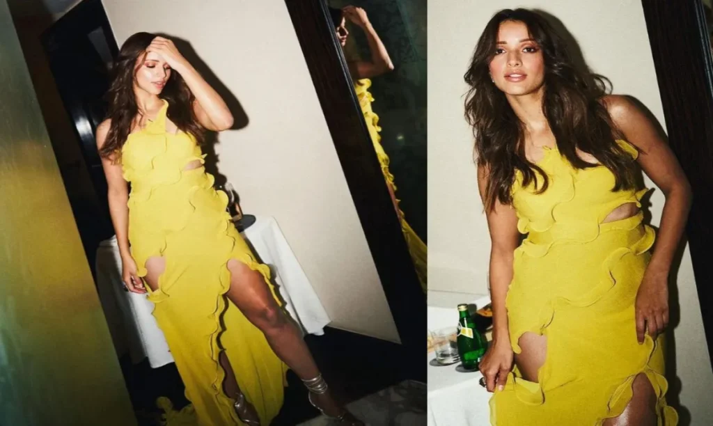Tripti Dimri Party Dress